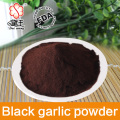 Professional Factory Supply 80 meshes Black Garlic Powder , Black Garlic Extract, Black Garlic Extract Powder